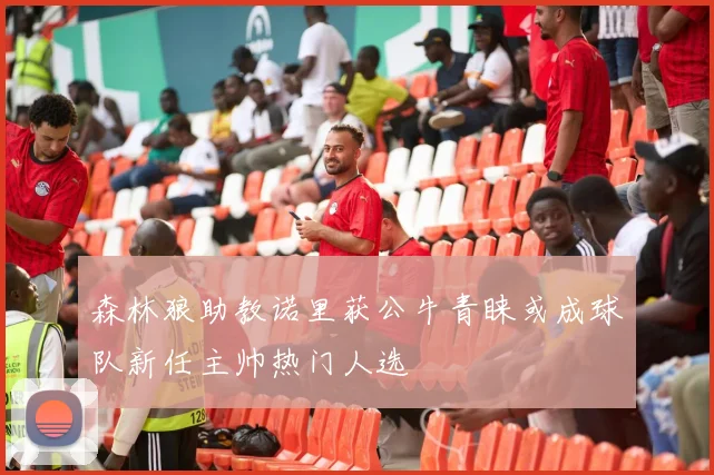 森林狼助教诺里获公牛青睐或成球队新任主帅热门人选