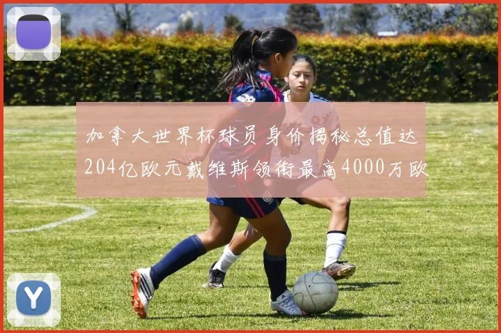 加拿大世界杯球员身价揭秘总值达204亿欧元戴维斯领衔最高4000万欧