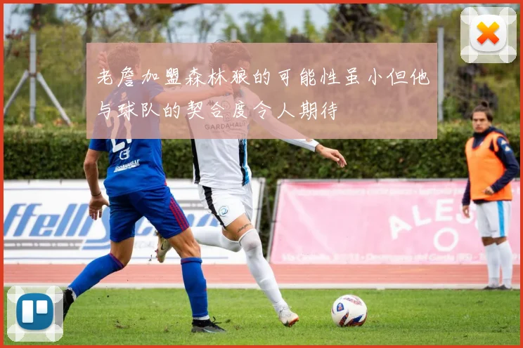 老詹加盟森林狼的可能性虽小但他与球队的契合度令人期待
